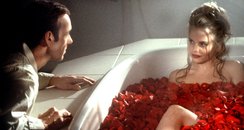 American Beauty