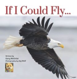 If I Could Fly by Gary Metivier