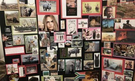 Muse Boards – A Time-Saving Writing Tool by Jill Hedgecock