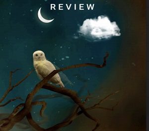 Call for Submissions from the Santa Clara Review!