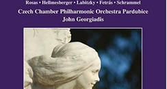 Contemporaries of the Strauss Family Georgiadis